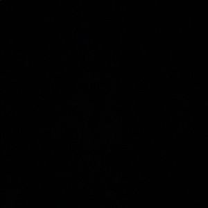 Meet your Posher, Shiloh